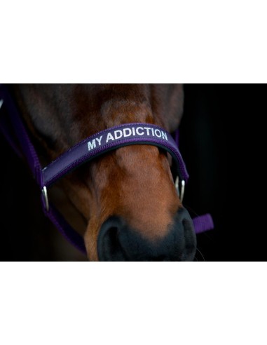 Horse Guard Malva halter