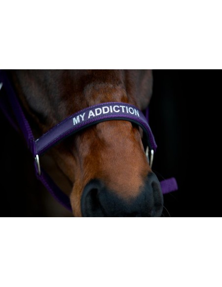 Horse Guard Malva halter