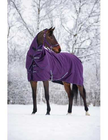 Horse Guard Malva halter