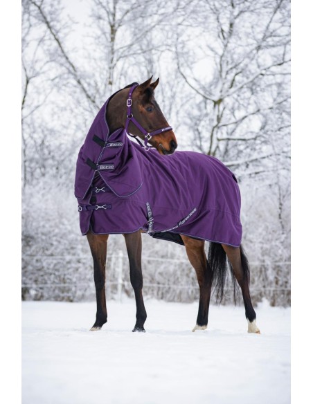 Horse Guard Malva halter