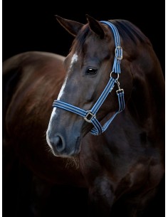 HorseGuard Taro halter