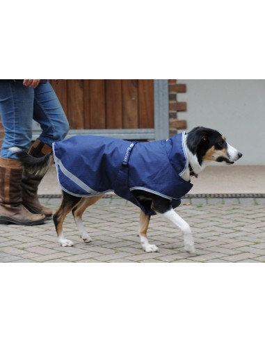Dog Coat Freedom