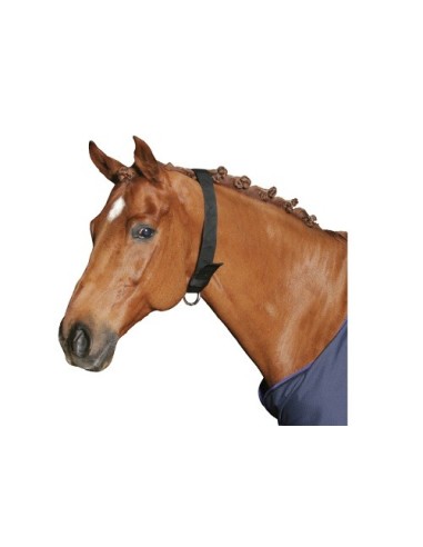 Нашийник за кон