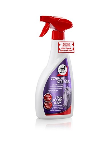 Stain Eraser Spray 550ml