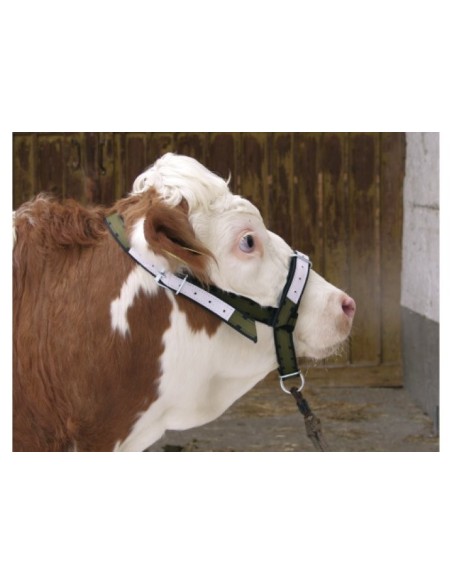 Cattle Halter