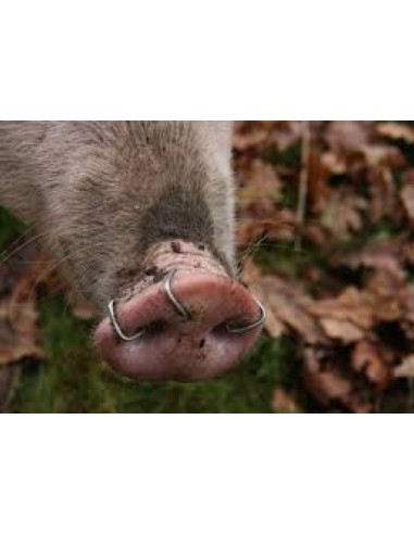 Triangular pig staples - 100 pcs